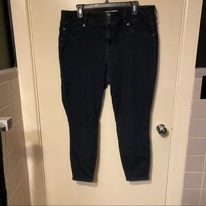 Torrid Jegging 18S